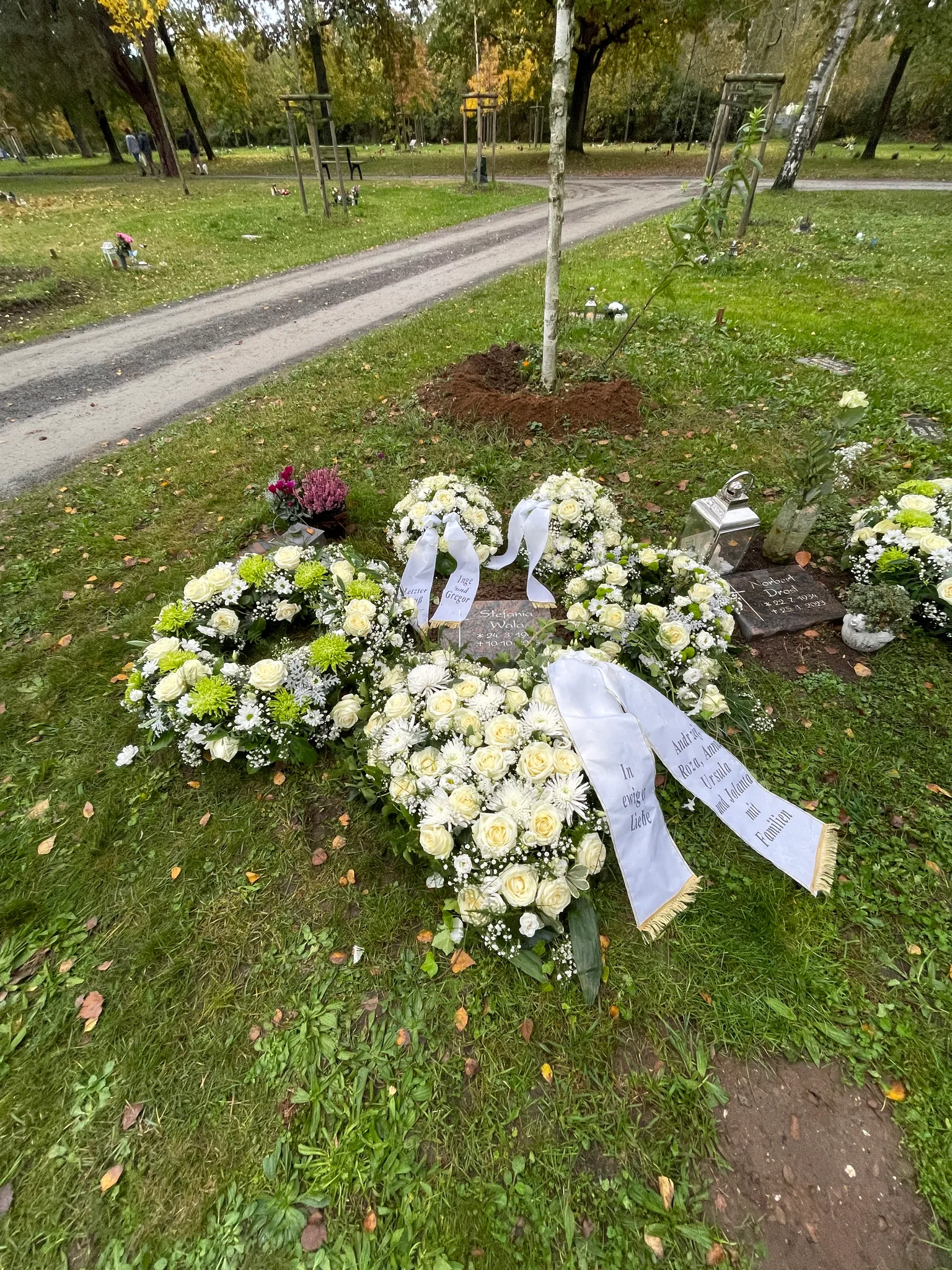 Baumgrab auf dem Waldfriedhof Aschaffenburg